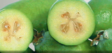 feijoas