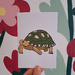 Leopard tortoise gift card