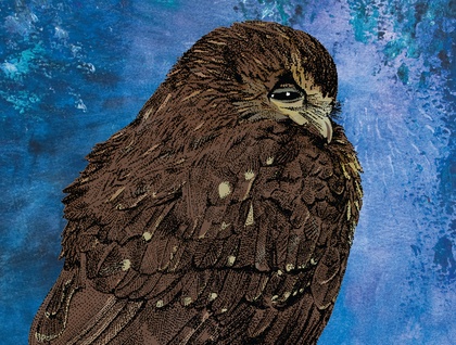 Ruru/Morepork print by Wellington artist Owen Smith