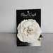 Beautiful  Leather Rose Brooch/HairClip