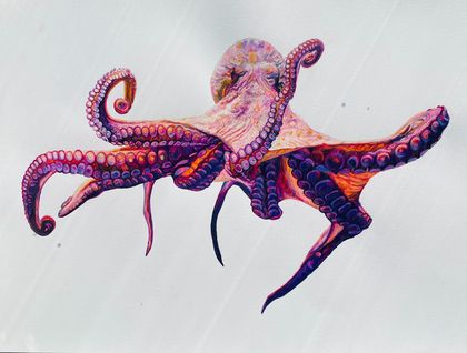 Octopoda in Colour Print
