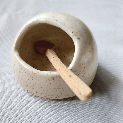 Ceramic Salt Pig and Spoon