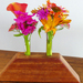 Double vial vase holder 