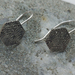 Swirl Hexagon Earrings