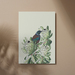 Art Print | Protea and Tui