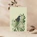 Greetings Card | Protea & Tui