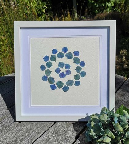 Hydrangea Blues 25cm x 25cm