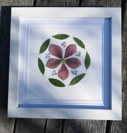 Hellebore pressed flower artwork 15cm x15cm