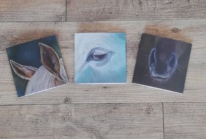 Greeting Cards Horse Features 3 Pack