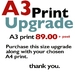 A3 Size Upgrade for Giclee Art Prints  FREE NZ POST