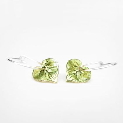 Kawakawa Leaf Hook Earrings