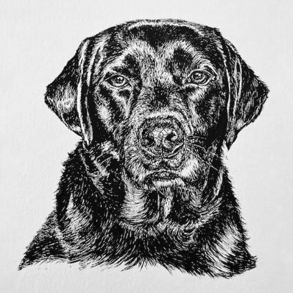 Personalised Pet Portrait Original Drawing