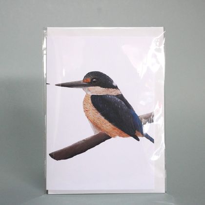 Kingfisher greeting card x 3