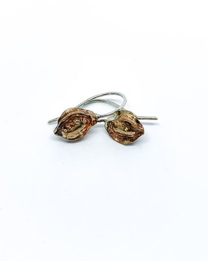 Large Kowhai Seed Pod Earrings in Sterling Silver and Bronze