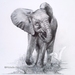 Baby Elephant Drawing Fine Art Print