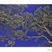 'Pohutukawa Twilight' Jenkins Bay (night photography)