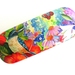 Glasses Case with matching Lens Cloth Kingfisher