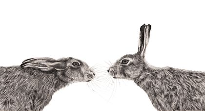 Hare Pair 2020 - limited edition archival print A2