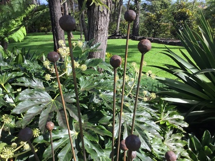 SEED PODS - MOVE AND CHIME IN THE WIND .