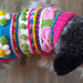 Bows and Flowers - Wool Dog Coat