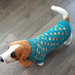 Little Dog Jersey- Wool