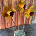 Rustic Corrugated iron Daffodils  (x3)