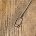 Fantail - piwakawaka necklace 