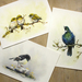 Set of 3 Art Prints - Tui, Tomtit & Waxeyes - New Zealand Native Bird Art