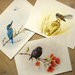 Set of 3 Art Prints - Fantail, Kingfisher & Black Robin - Wall Art of NZ Birds