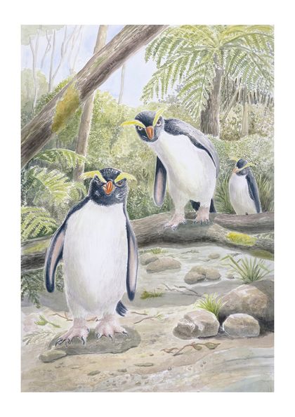 Set of 3 Blank Cards of Three Cheeky Penguins 