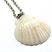 Pale Pink Scallop Shell Pendant on Chain