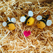 Bee kind crochet bee