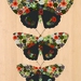 Red Admiral Butterfly (Kahukura) Print on Bamboo Veneer