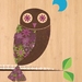 Morepork Owl (Ruru) Print on Bamboo Veneer