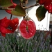 Bougainvillea Dried Flower Petal Earrings