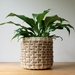 Handwoven Indoor Plant Basket - Natural Rattan & Seagrass